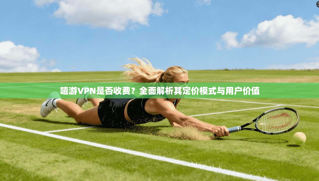 嘻游VPN是否收费？全面解析其定价模式与用户价值