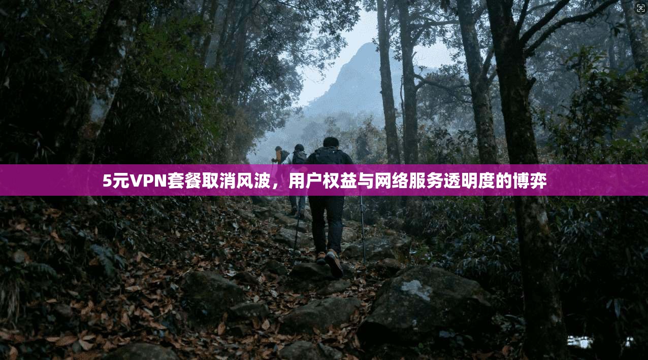 5元VPN套餐取消风波，用户权益与网络服务透明度的博弈