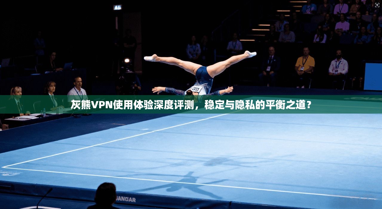 灰熊VPN使用体验深度评测,稳定与隐私的平衡之道?