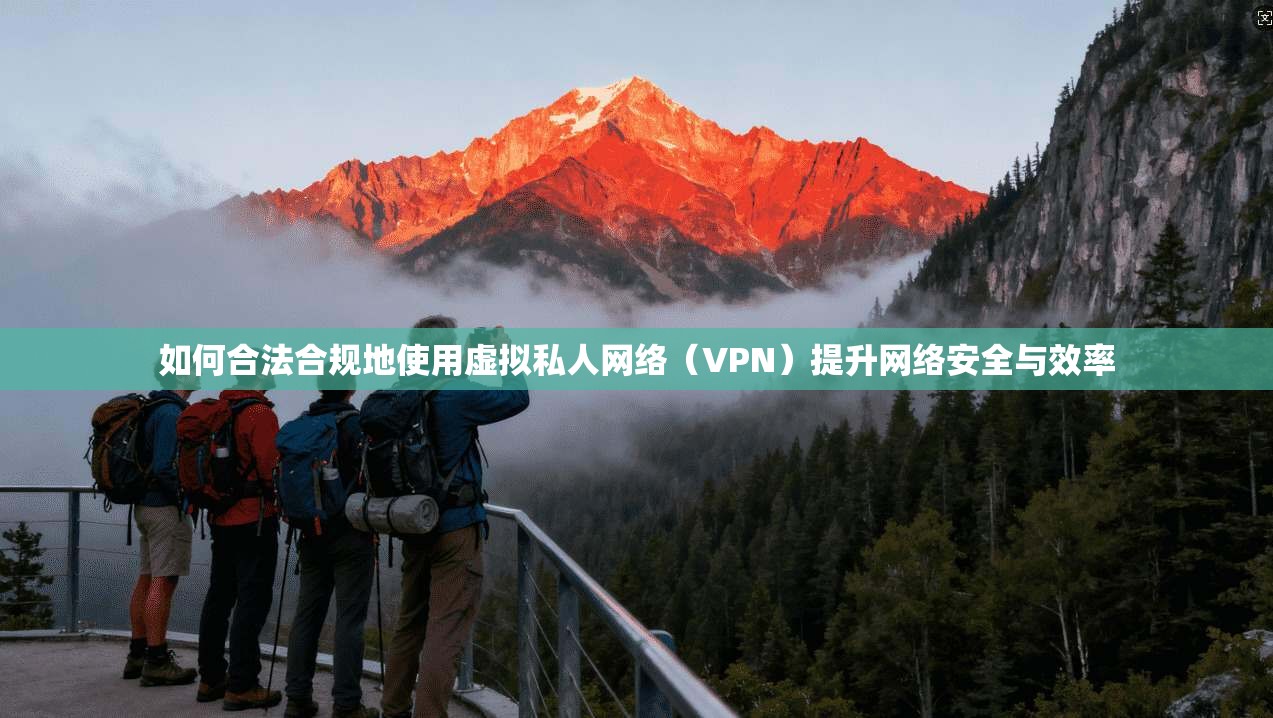 如何合法合规地使用虚拟私人网络（VPN）提升网络安全与效率
