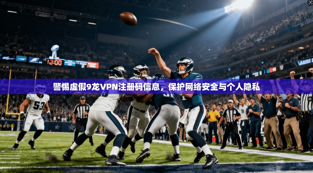 警惕虚假9龙VPN注册码信息，保护网络安全与个人隐私