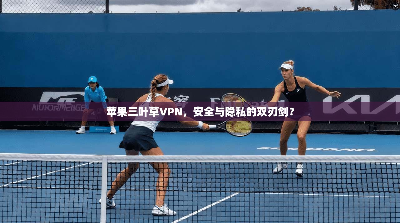 苹果三叶草VPN，安全与隐私的双刃剑？