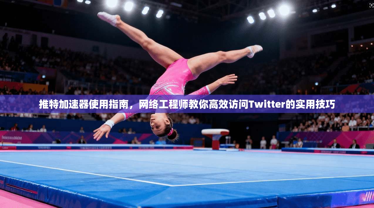 推特加速器使用指南，网络工程师教你高效访问Twitter的实用技巧