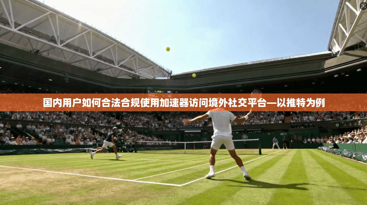 国内用户如何合法合规使用加速器访问境外社交平台—以推特为例