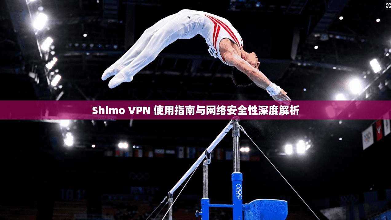 Shimo VPN 使用指南与网络安全性深度解析