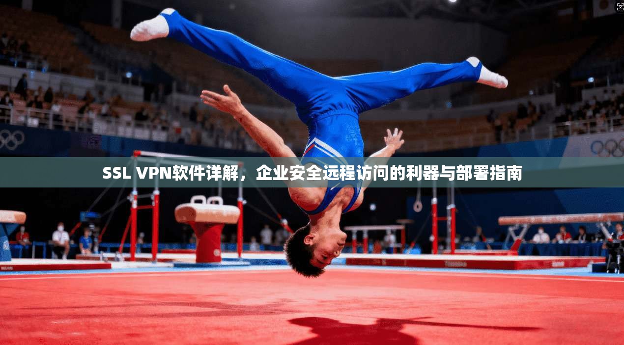 SSL VPN软件详解，企业安全远程访问的利器与部署指南