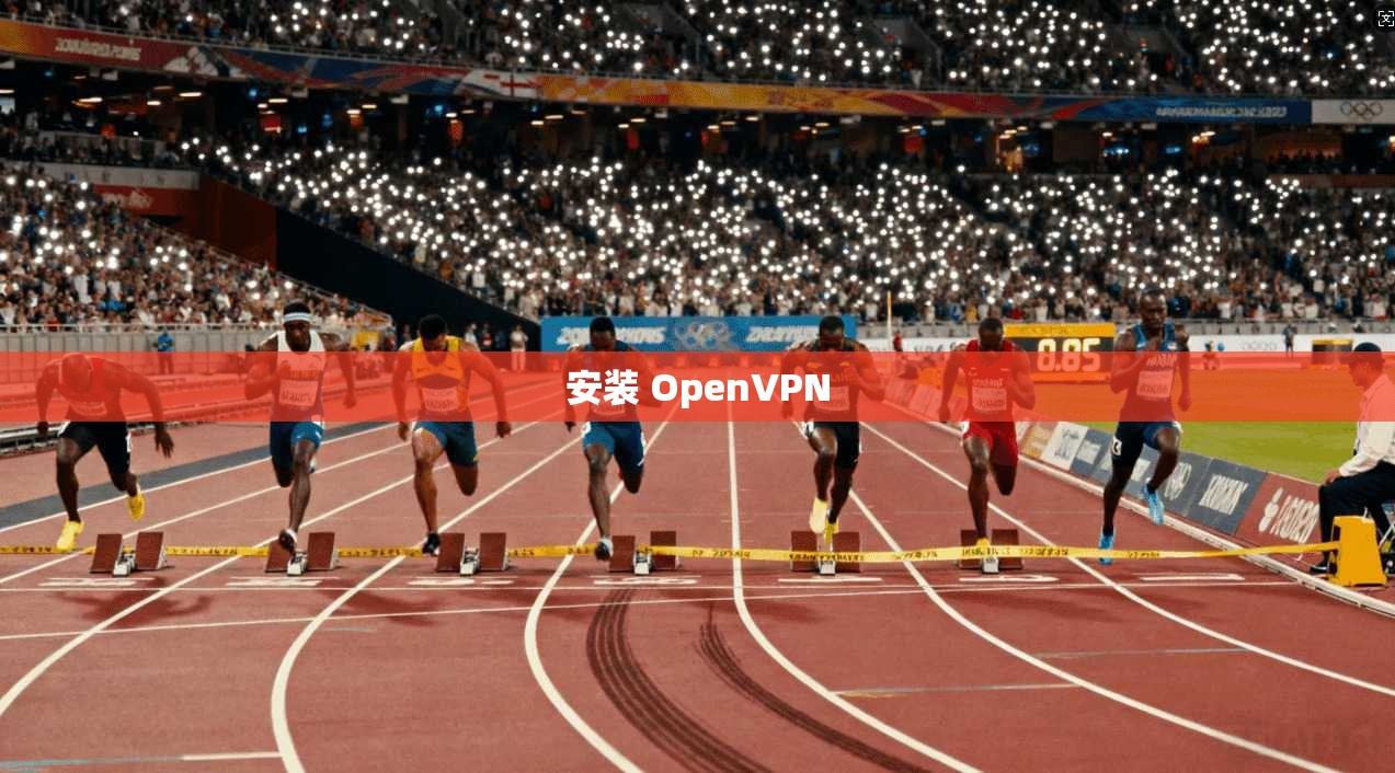 安装 OpenVPN