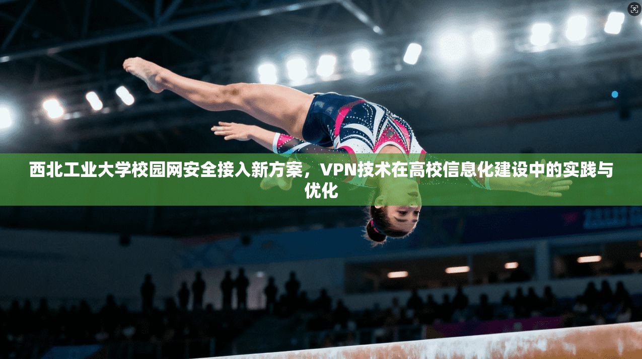 西北工业大学校园网安全接入新方案,VPN技术在高校信息化建设中的实践与优化 西北工业大学校园网安全接入新方案,VPN技术在高校信息化建设中的实践与优化
