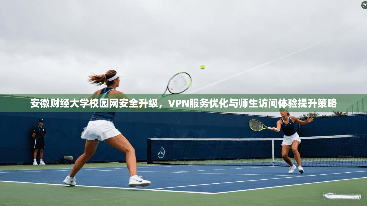 安徽财经大学校园网安全升级,VPN服务优化与师生访问体验提升策略