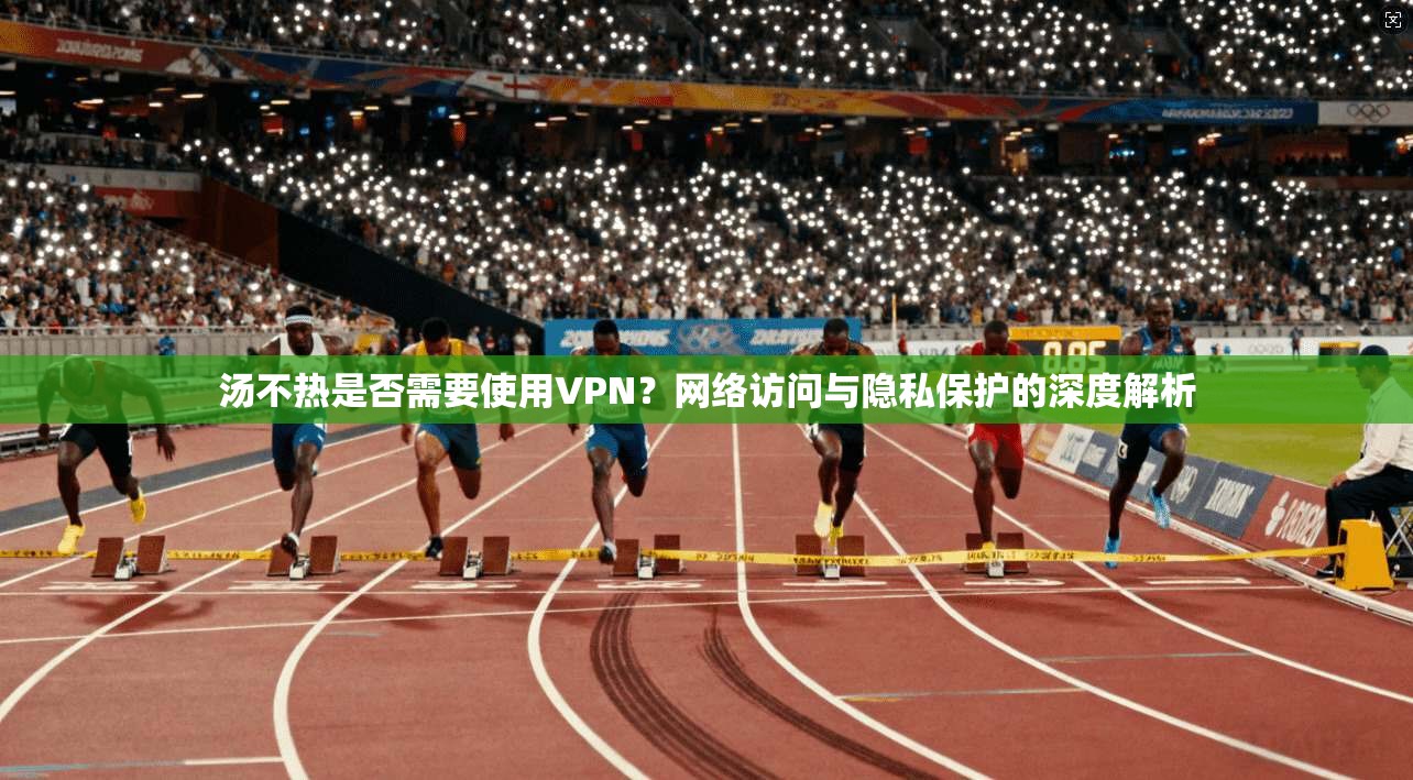 汤不热是否需要使用VPN?网络访问与隐私保护的深度解析