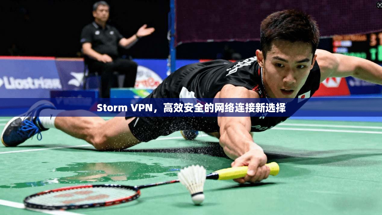 Storm VPN，高效安全的网络连接新选择