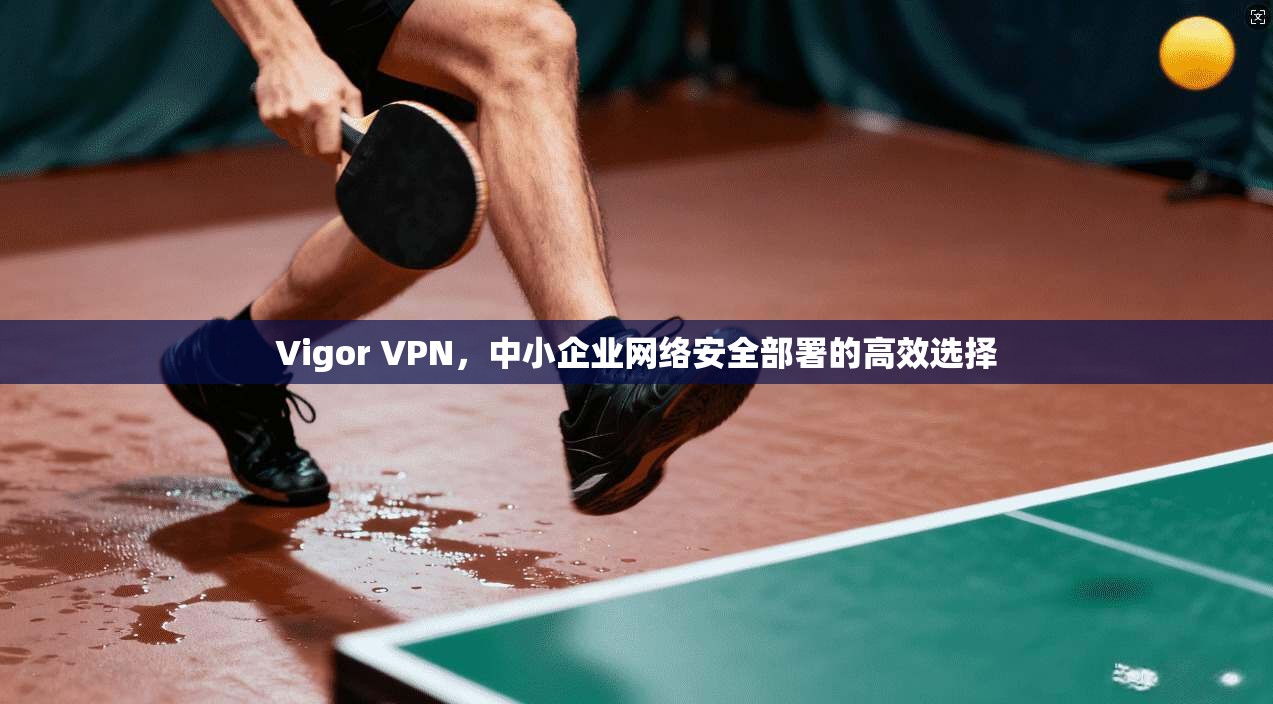 Vigor VPN，中小企业网络安全部署的高效选择
