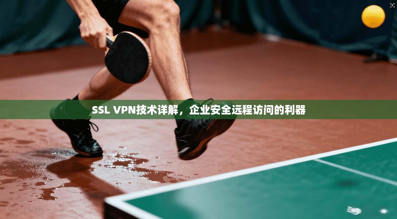 SSL VPN技术详解，企业安全远程访问的利器