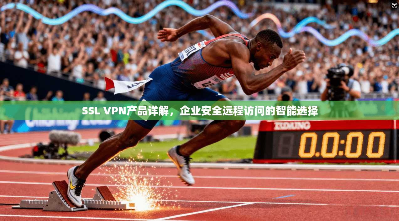 SSL VPN产品详解，企业安全远程访问的智能选择
