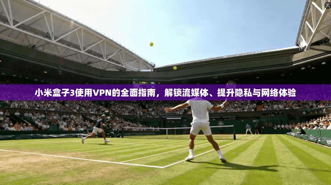 小米盒子3使用VPN的全面指南，解锁流媒体、提升隐私与网络体验