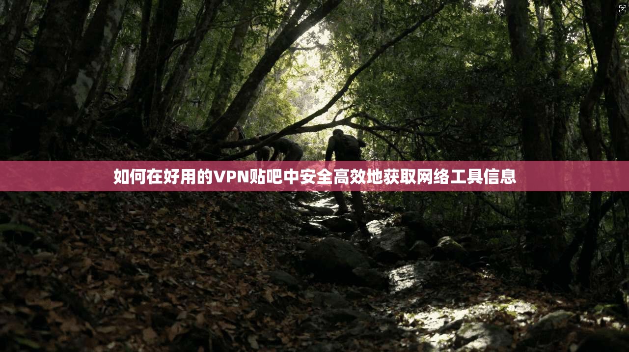 如何在好用的VPN贴吧中安全高效地获取网络工具信息