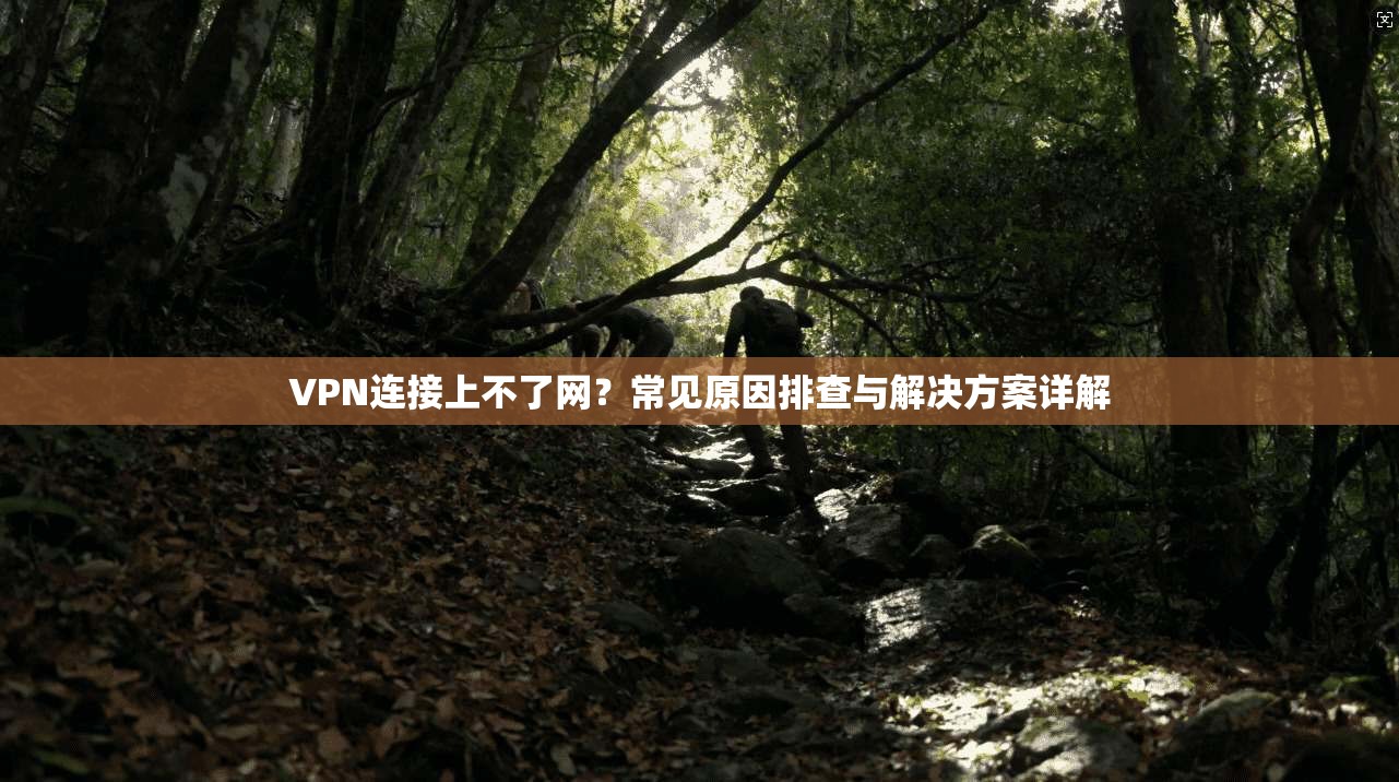VPN连接上不了网?常见原因排查与解决方案详解