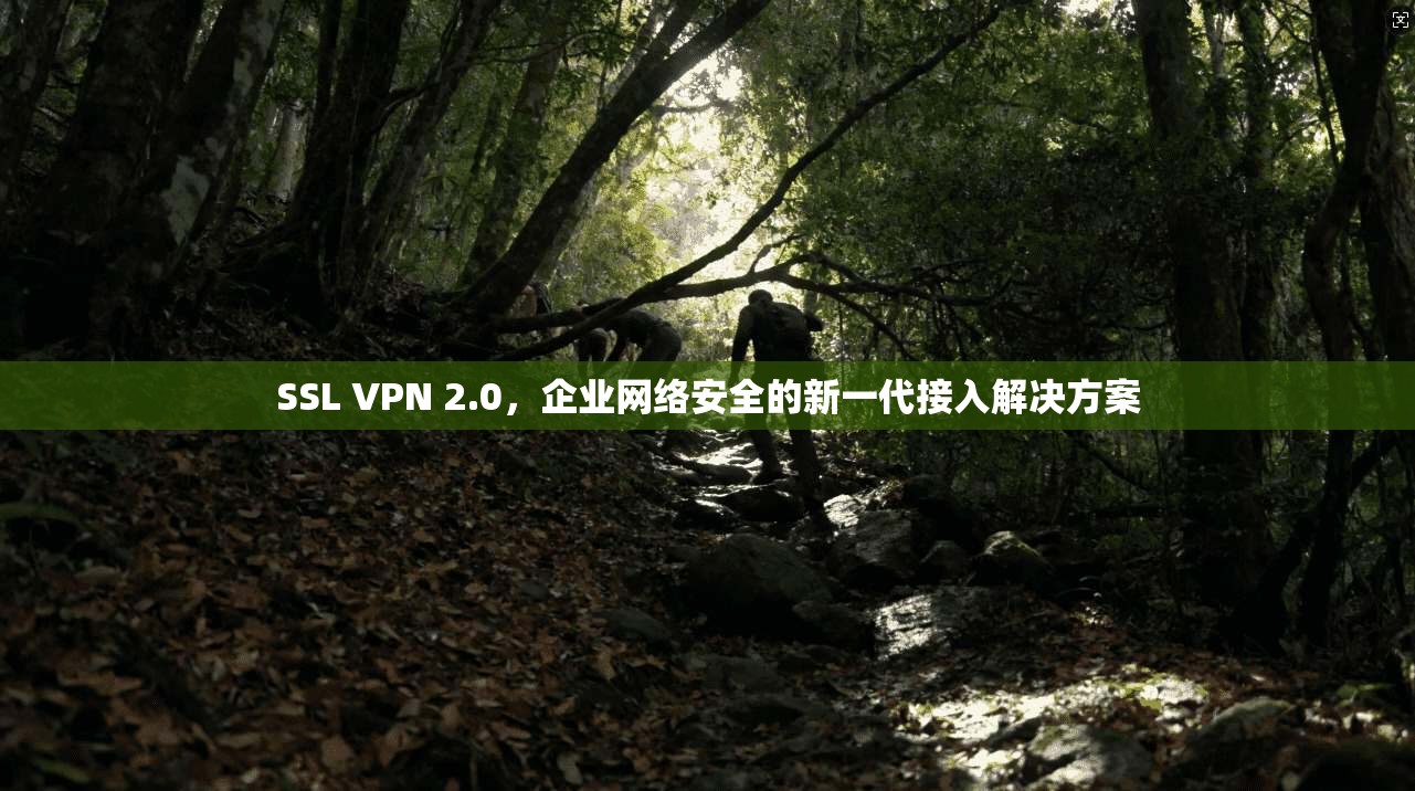 SSL VPN 2.0,企业网络安全的新一代接入解决方案
