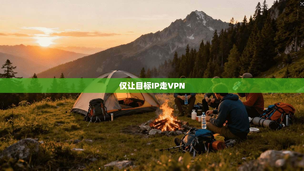 仅让目标IP走VPN