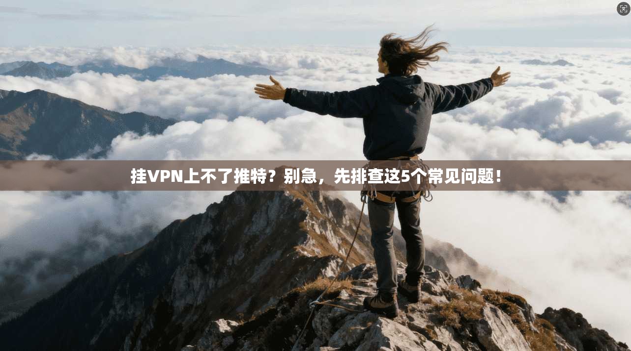 挂VPN上不了推特？别急，先排查这5个常见问题！