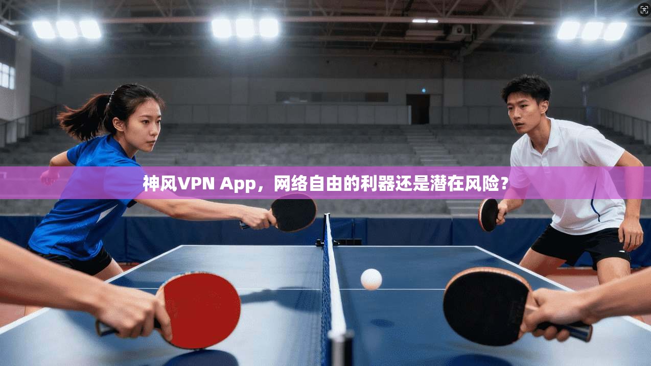 神风VPN App，网络自由的利器还是潜在风险？