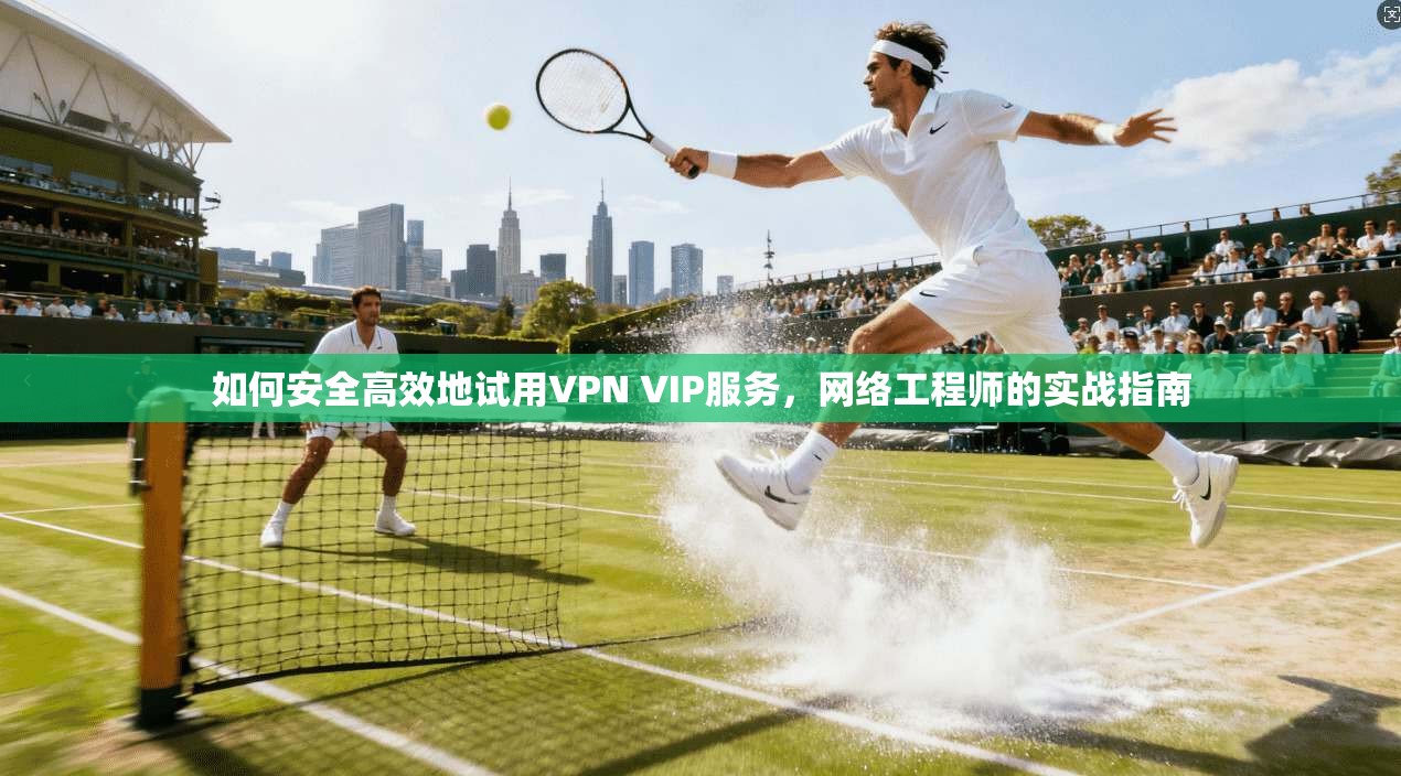 如何安全高效地试用VPN VIP服务，网络工程师的实战指南