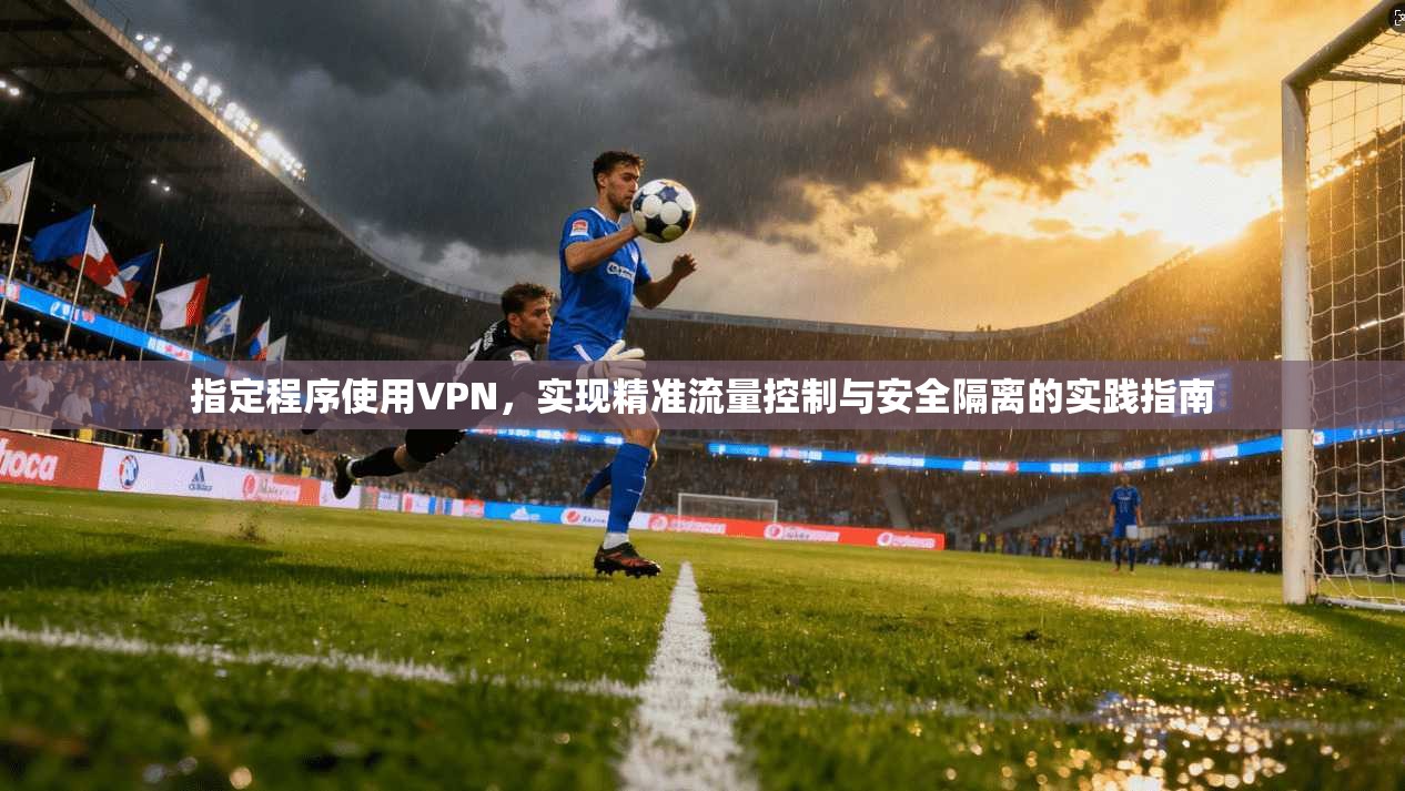 指定程序使用VPN，实现精准流量控制与安全隔离的实践指南