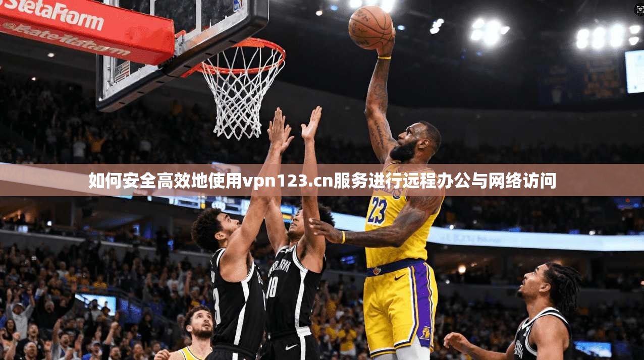 如何安全高效地使用vpn123.cn服务进行远程办公与网络访问