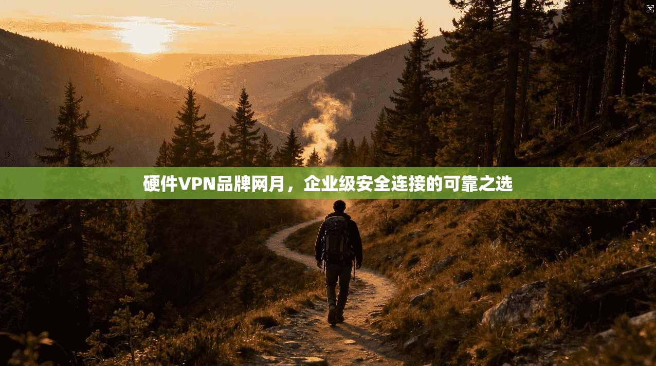 硬件VPN品牌网月，企业级安全连接的可靠之选