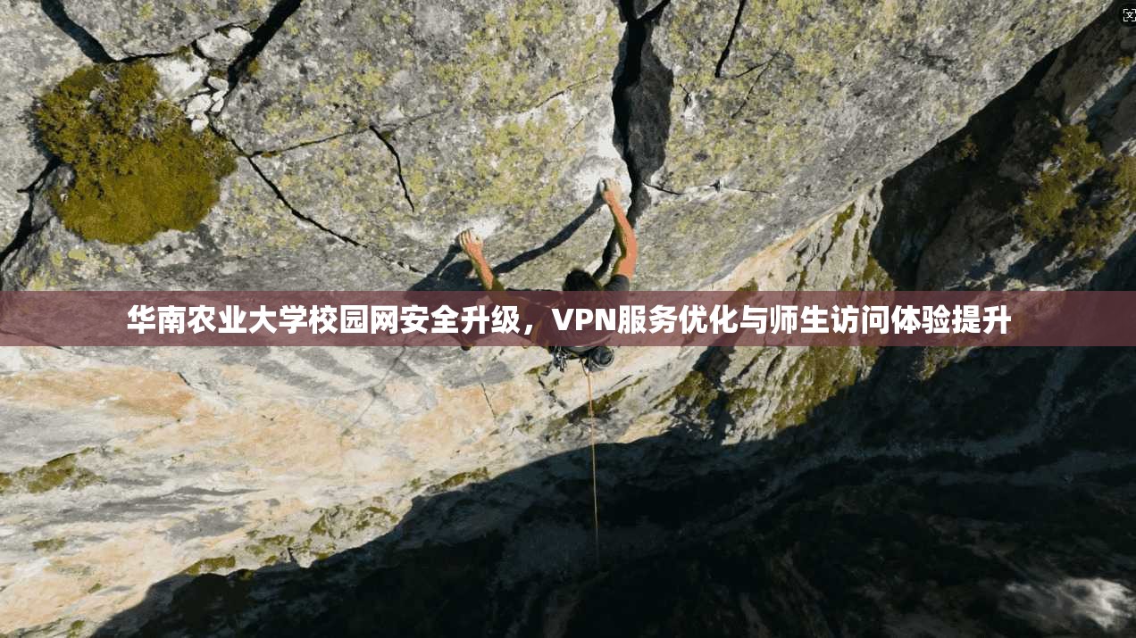 华南农业大学校园网安全升级，VPN服务优化与师生访问体验提升