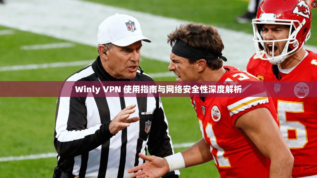 Winly VPN 使用指南与网络安全性深度解析