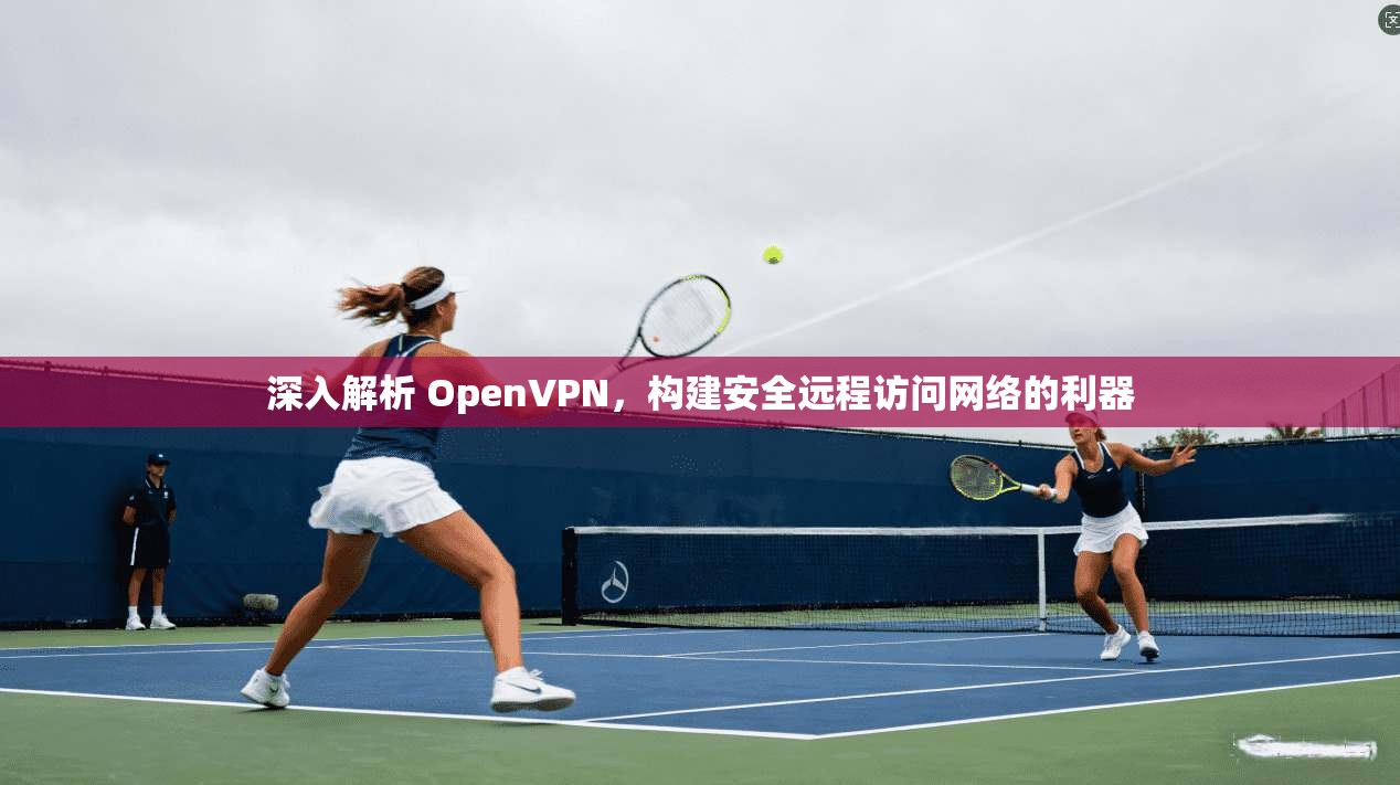 深入解析 OpenVPN，构建安全远程访问网络的利器