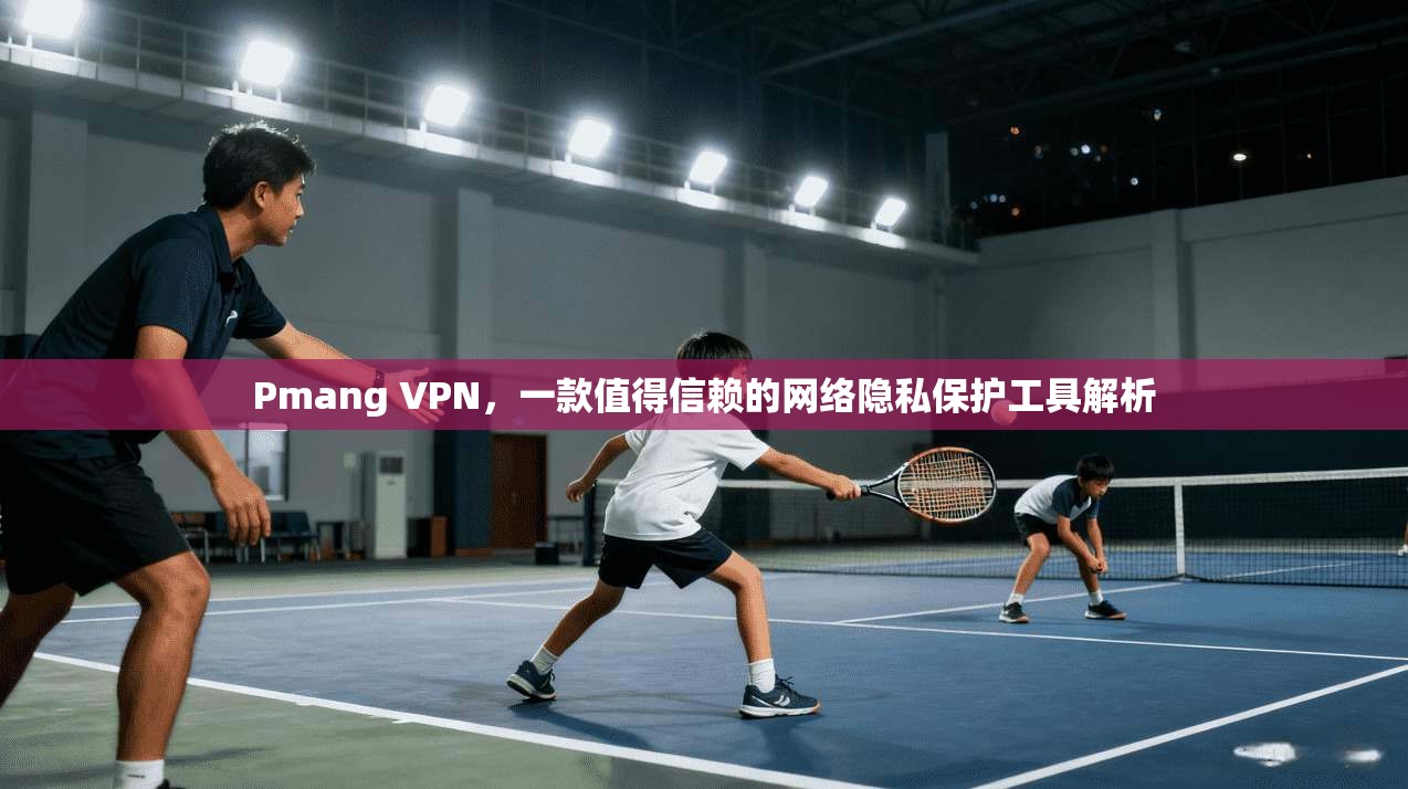 Pmang VPN，一款值得信赖的网络隐私保护工具解析