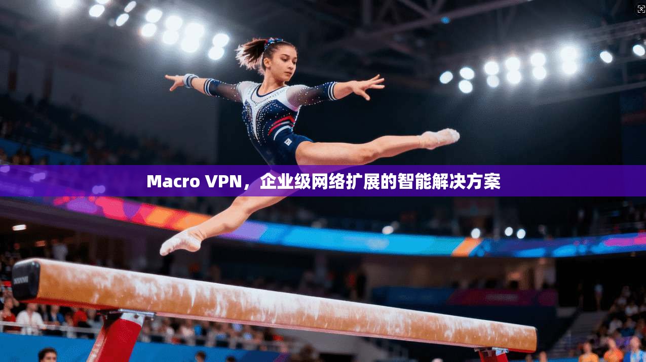Macro VPN，企业级网络扩展的智能解决方案