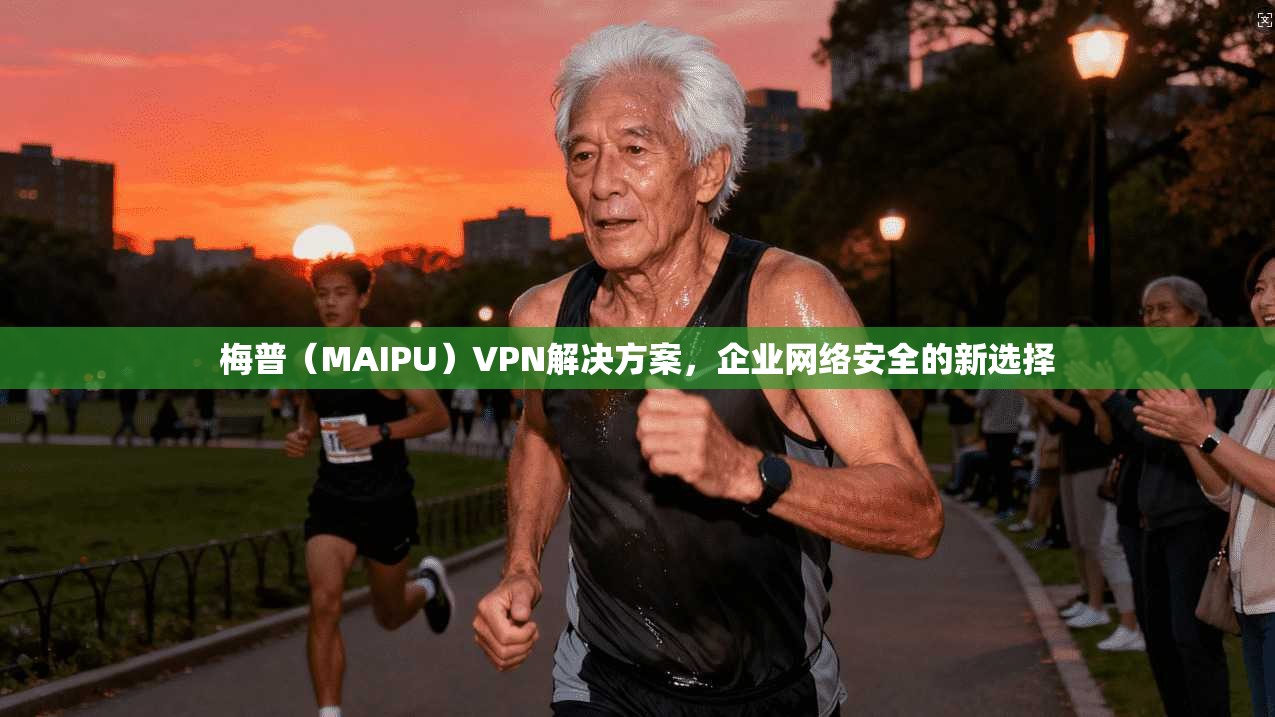 梅普（MAIPU）VPN解决方案，企业网络安全的新选择