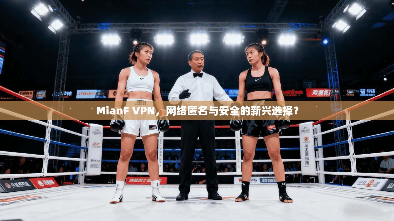 MianF VPN，网络匿名与安全的新兴选择？