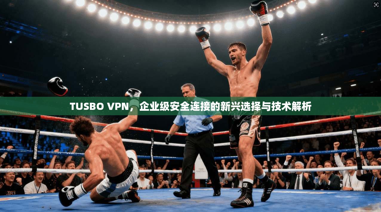 TUSBO VPN，企业级安全连接的新兴选择与技术解析