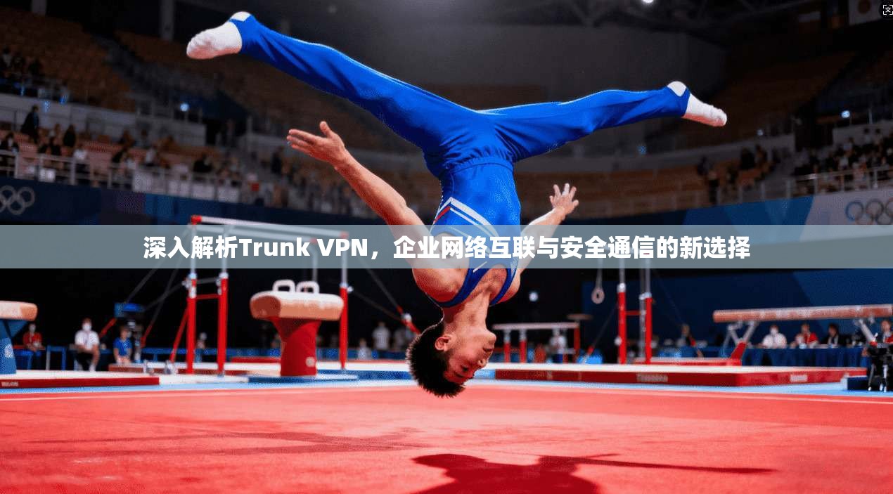 深入解析Trunk VPN，企业网络互联与安全通信的新选择