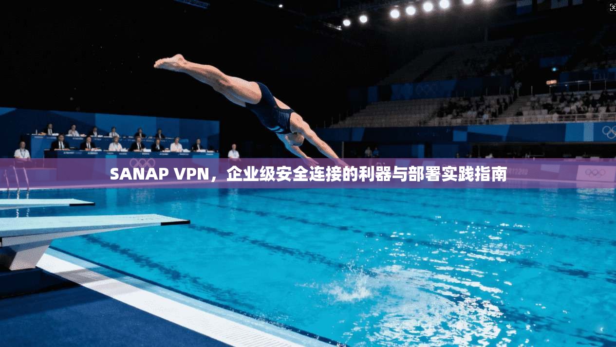 SANAP VPN，企业级安全连接的利器与部署实践指南