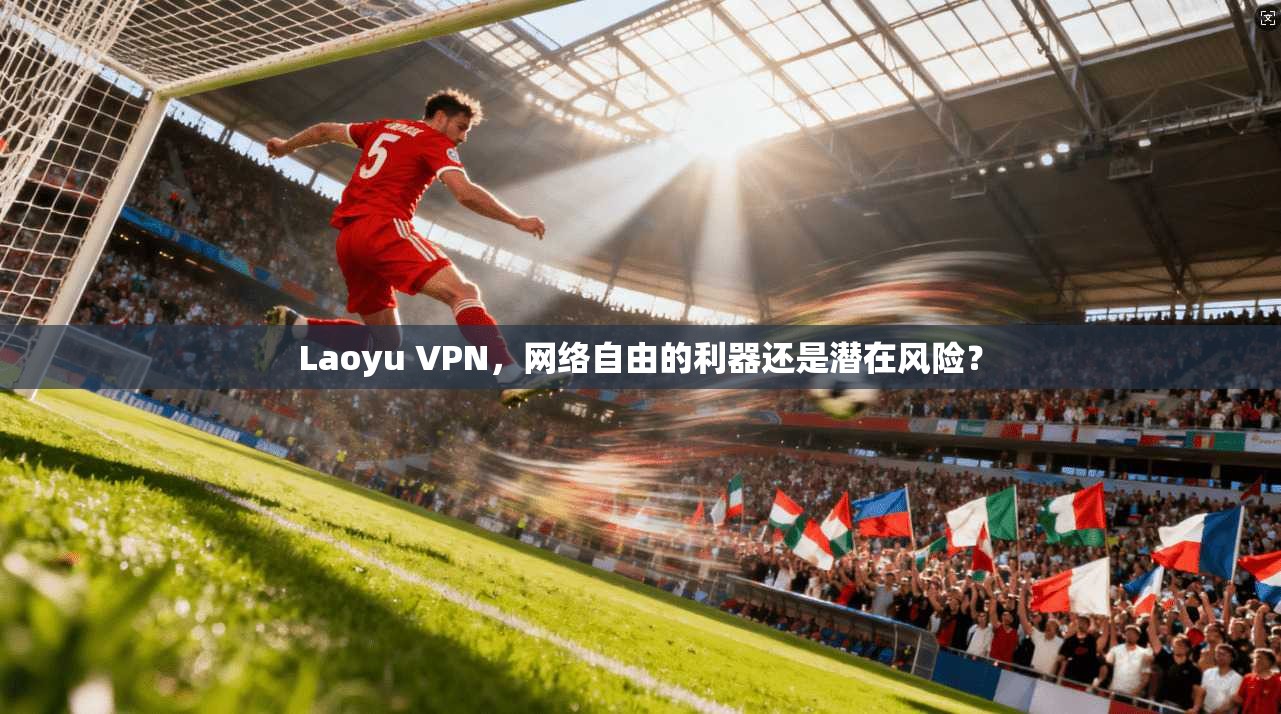 Laoyu VPN，网络自由的利器还是潜在风险？
