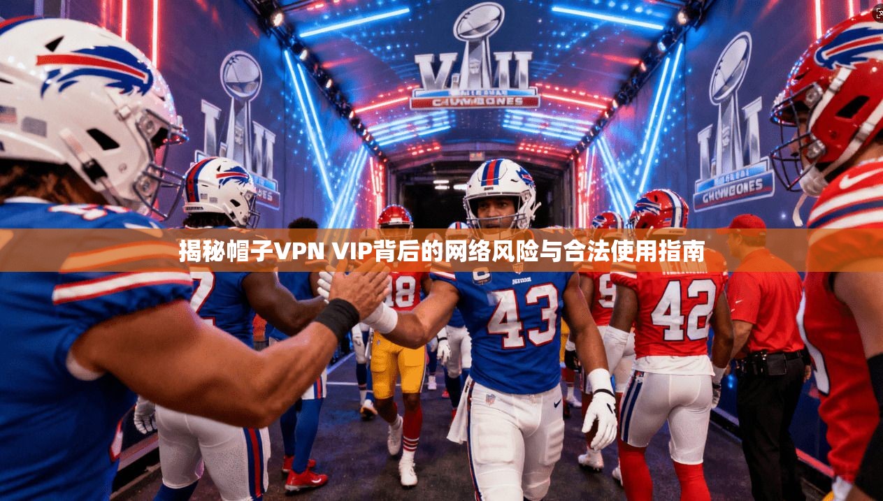 揭秘帽子VPN VIP背后的网络风险与合法使用指南