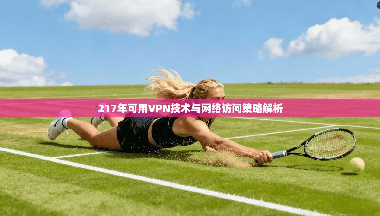 217年可用VPN技术与网络访问策略解析
