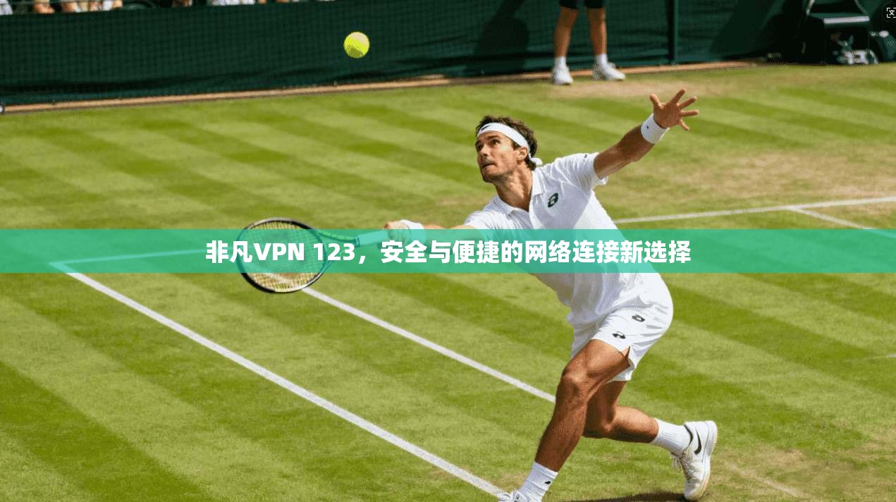 非凡VPN 123，安全与便捷的网络连接新选择