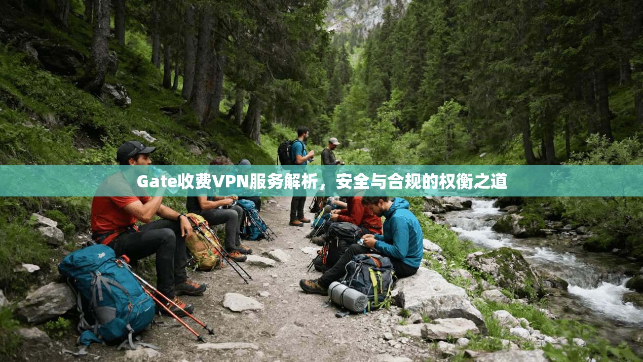 Gate收费VPN服务解析，安全与合规的权衡之道