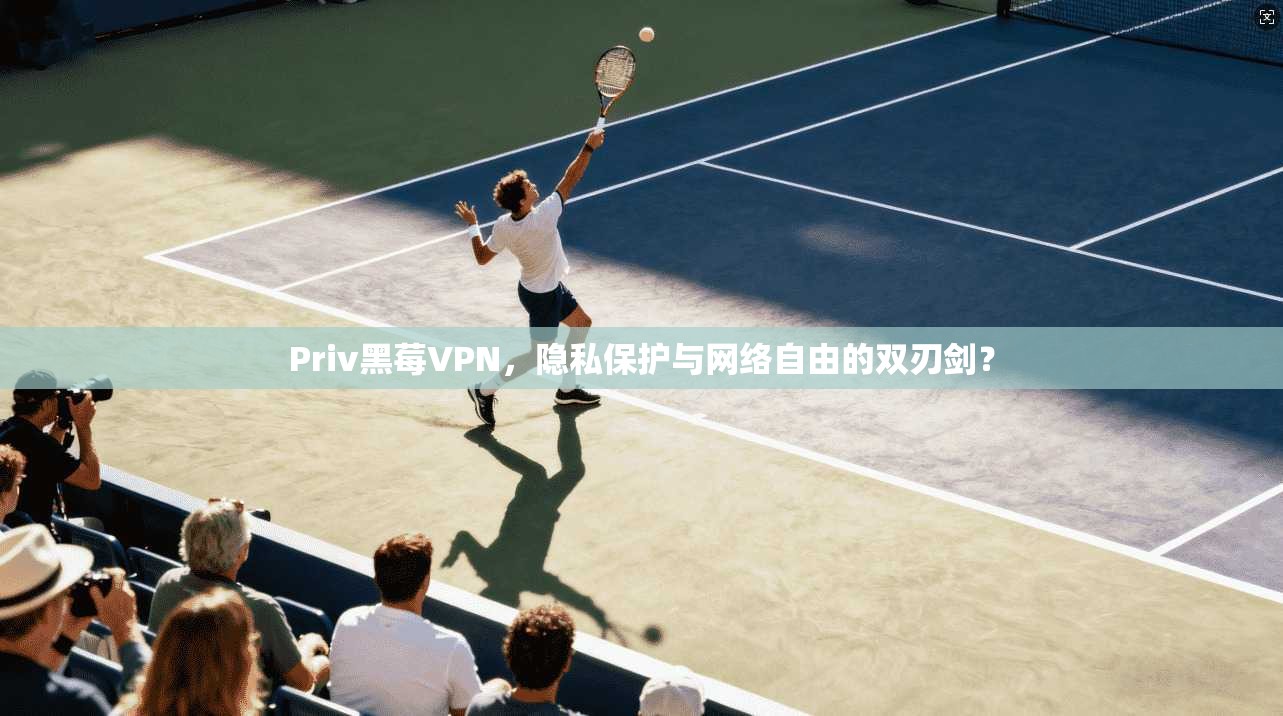 Priv黑莓VPN，隐私保护与网络自由的双刃剑？