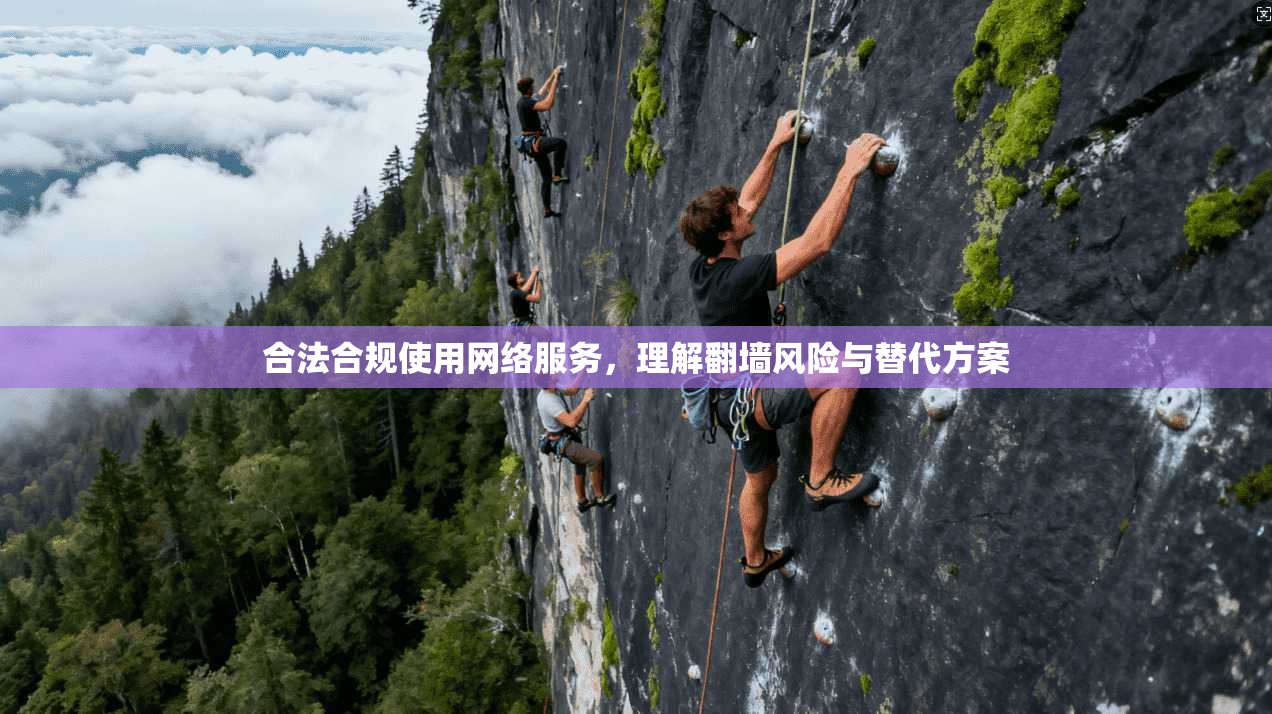合法合规使用网络服务，理解翻墙风险与替代方案
