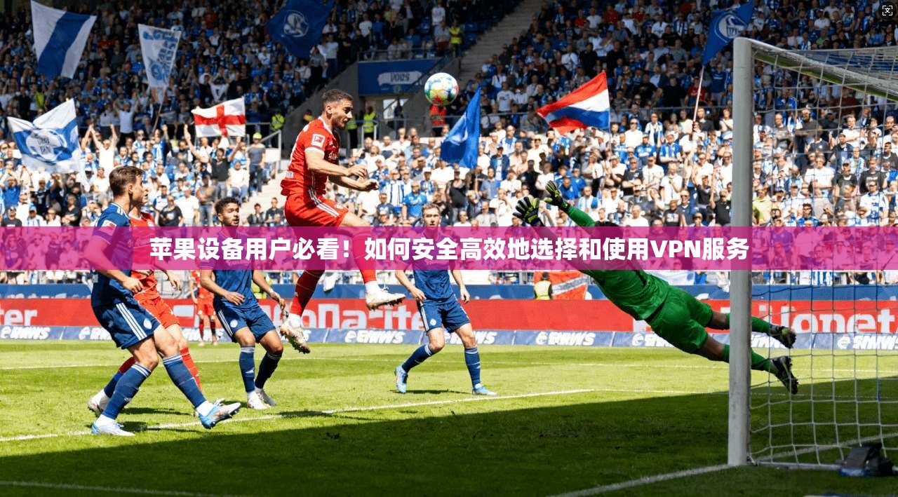 苹果设备用户必看！如何安全高效地选择和使用VPN服务