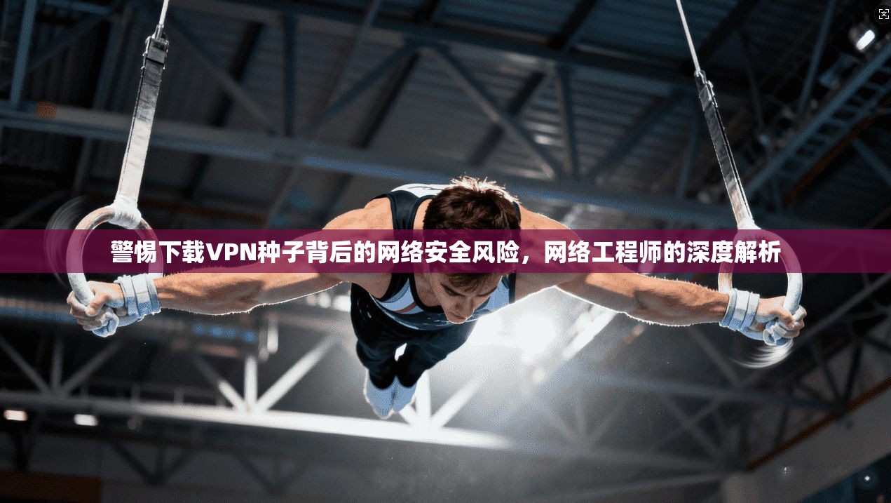 警惕下载VPN种子背后的网络安全风险，网络工程师的深度解析