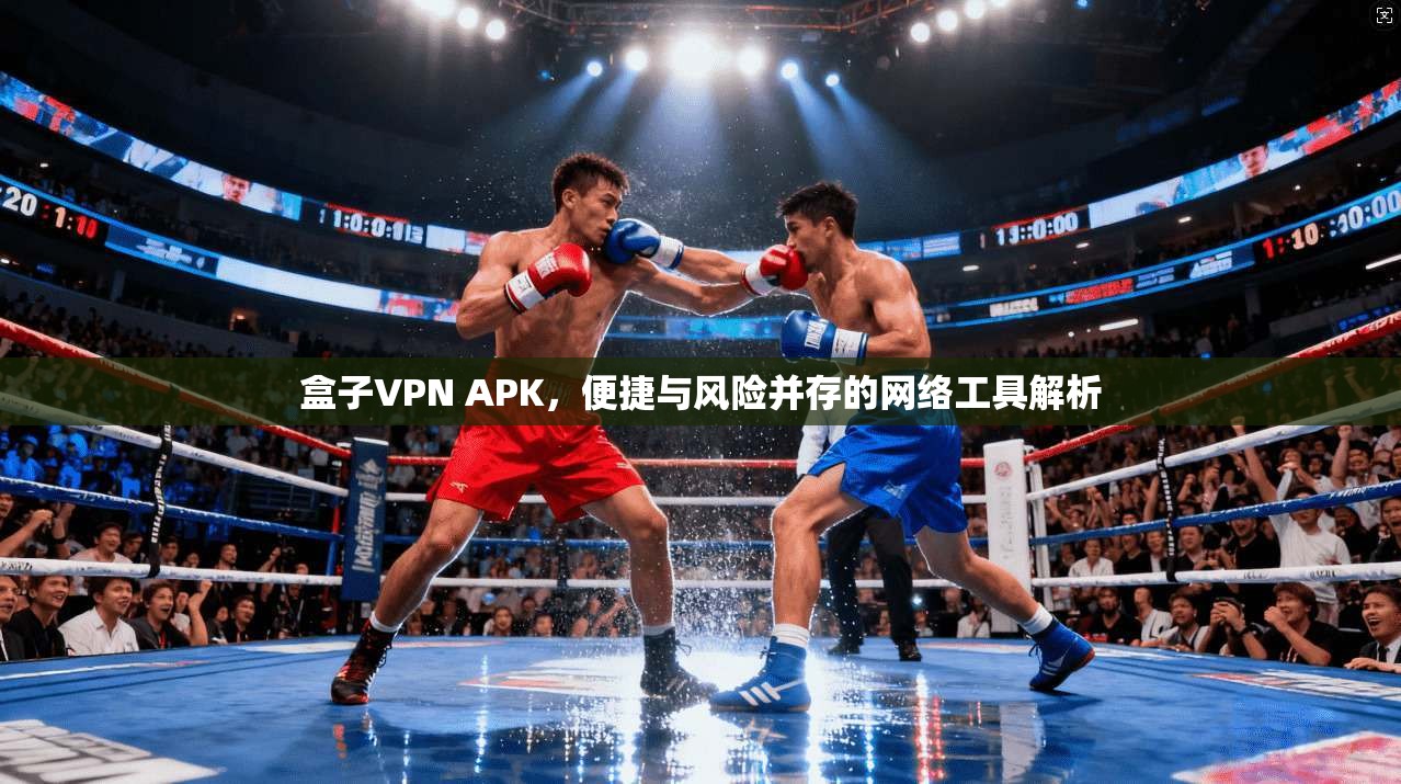 盒子VPN APK，便捷与风险并存的网络工具解析