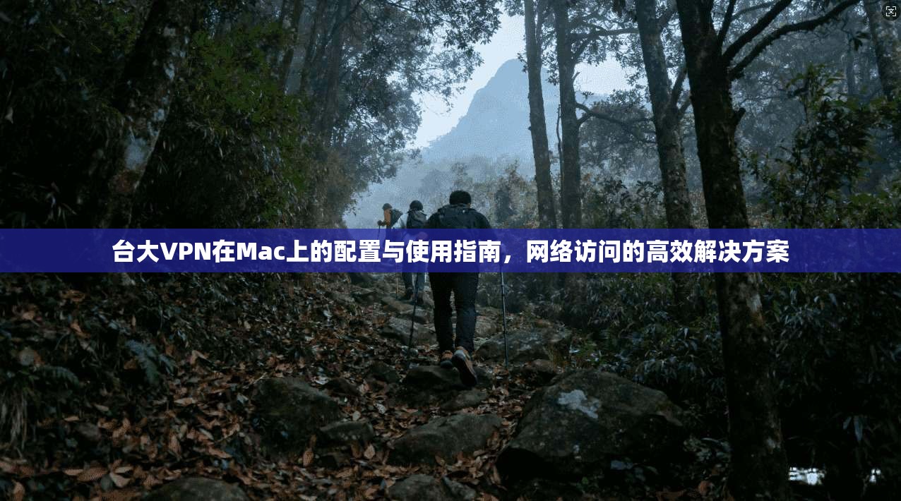 台大VPN在Mac上的配置与使用指南，网络访问的高效解决方案